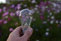 Incandescent lamp in hand on the background of flowers in the garden Royalty Free Stock Photo