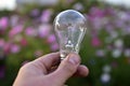 Incandescent lamp in hand on the background of flowers in the garden