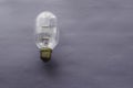 Incandescent lamp for industrial lighting on a gray-blue background