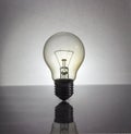 Incandescent Lamp Royalty Free Stock Photo