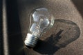 Incandescent lamp and its shadow