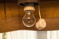 Incandescent lamp. light bulb and electric plug Royalty Free Stock Photo