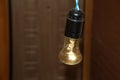 The incandescent lamp is screwed into a black cartridge, hanging on wires, brightly shining