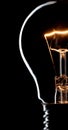 Incandescent light bulb