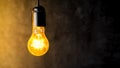 Incandescent light bulb glowing on a dark background Royalty Free Stock Photo