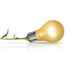 Light bulb Royalty Free Stock Photo
