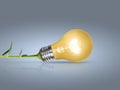 Light bulb Royalty Free Stock Photo