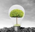 Incandescent light bulb with plant as filament Royalty Free Stock Photo