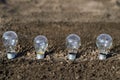 Incandescent light bulbs on the ground. Royalty Free Stock Photo