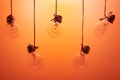 Incandescent light bulbs hanging on a orange background Royalty Free Stock Photo