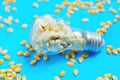 Incandescent lightbulb stuffed with popped corn Royalty Free Stock Photo