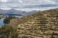 Incas terraced land