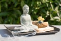 Incense burning. Burning palo santo stick with Buddha statue against green leaves as background under the sunlight Royalty Free Stock Photo