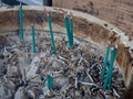 Incense burning in Kyoto Royalty Free Stock Photo