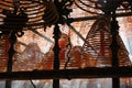 Incense burning in temple in Hong Kong