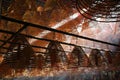 Incense burning in temple in Hong Kong