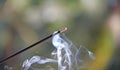 Incense stick and smoke from incense burning. Beautiful smoke. B Royalty Free Stock Photo