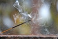 Incense stick and smoke from incense burning. Beautiful smoke. B Royalty Free Stock Photo