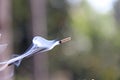 Incense stick and smoke from incense burning. Beautiful smoke. B Royalty Free Stock Photo