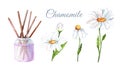 Incense sticks with chamomile flower extract