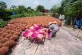 Incense sticks drying outdoor with Vietnamese woman wearing conical hat in north of Vietnam Royalty Free Stock Photo