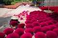 Incense sticks drying outdoor with Vietnamese woman wearing conical hat in north of Vietnam Royalty Free Stock Photo