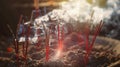 Incense sticks on joss stick pot are burning and a lot of smoke use for pay respect to the Buddha, selective focus on joss sticks Royalty Free Stock Photo