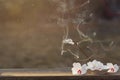 Incense sticks with incense smoke and beautiful white flowers in a bowl on a wooden table. Banner for design and Royalty Free Stock Photo