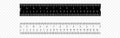 Inch and metric rulers. Centimeters and inches measuring scale cm metrics indicator