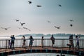 Seagulls and tourist people with seascape at Wolmido island park in Incheon, Korea