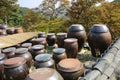 INCHEON, SOUTH KOREA - OCTOBER 21,2019: Dozens of large clay pots hold fermenting kimchi on the territory to Jeondeungsa Temple in