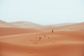 Incidental local berber man wandering through Sahara Desert Merzouga, Morocco