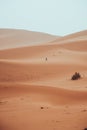 Incidental local berber man wandering through Sahara Desert Merzouga, Morocco