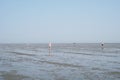 Incidental people walking across mudflat tideland at ebb tide in Cuxhaven Germany