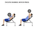 Incline barbell bench press workout exercise vector illustration