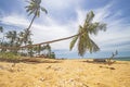 The view of Pantai Jambu Bongkok Beach in Terengganu, Malaysia. Royalty Free Stock Photo