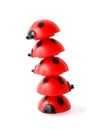 Inclined tower made of five red small ladybugs