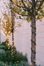 Included Christmas garland on a tree trunk outside. New Year`s street lighting in the park. Festive lights. Small Light Royalty Free Stock Photo