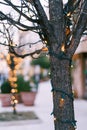 Included Christmas garland on a tree trunk outside. New Year`s street lighting in the park. Festive lights. Small Light Royalty Free Stock Photo