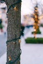 Included Christmas garland on a tree trunk outside. New Year`s street lighting in the park. Festive lights. Small Light Royalty Free Stock Photo