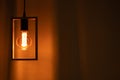 Included electric light bulb on the background of dark curtains, lamp