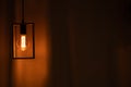 Included electric light bulb on the background of dark curtains, lamp