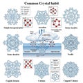 Includes examples like simple hexagonal plates, stellar dendrites, Royalty Free Stock Photo