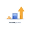 Income increase, financial strategy, return on investment, fund raising, long term increment, revenue growth, loan installment