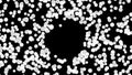 Incoming monochrome messages in social media networks. Animation. Abstract black sphere and small white circles with