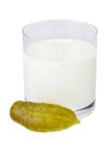 Incompatible products milk and salted cucumber Royalty Free Stock Photo