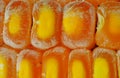 Incomplete corn kernels in the closu corner up close Royalty Free Stock Photo
