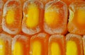 Incomplete corn kernels in the closu corner up close Royalty Free Stock Photo