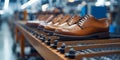 Incorporating Advanced Technology in a Modern Shoe Factory. Concept Smart Robotics, Automated