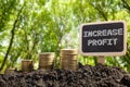 Increase Profit - Financial opportunity concept. Golden coins in soil Chalkboard on blurred natural background